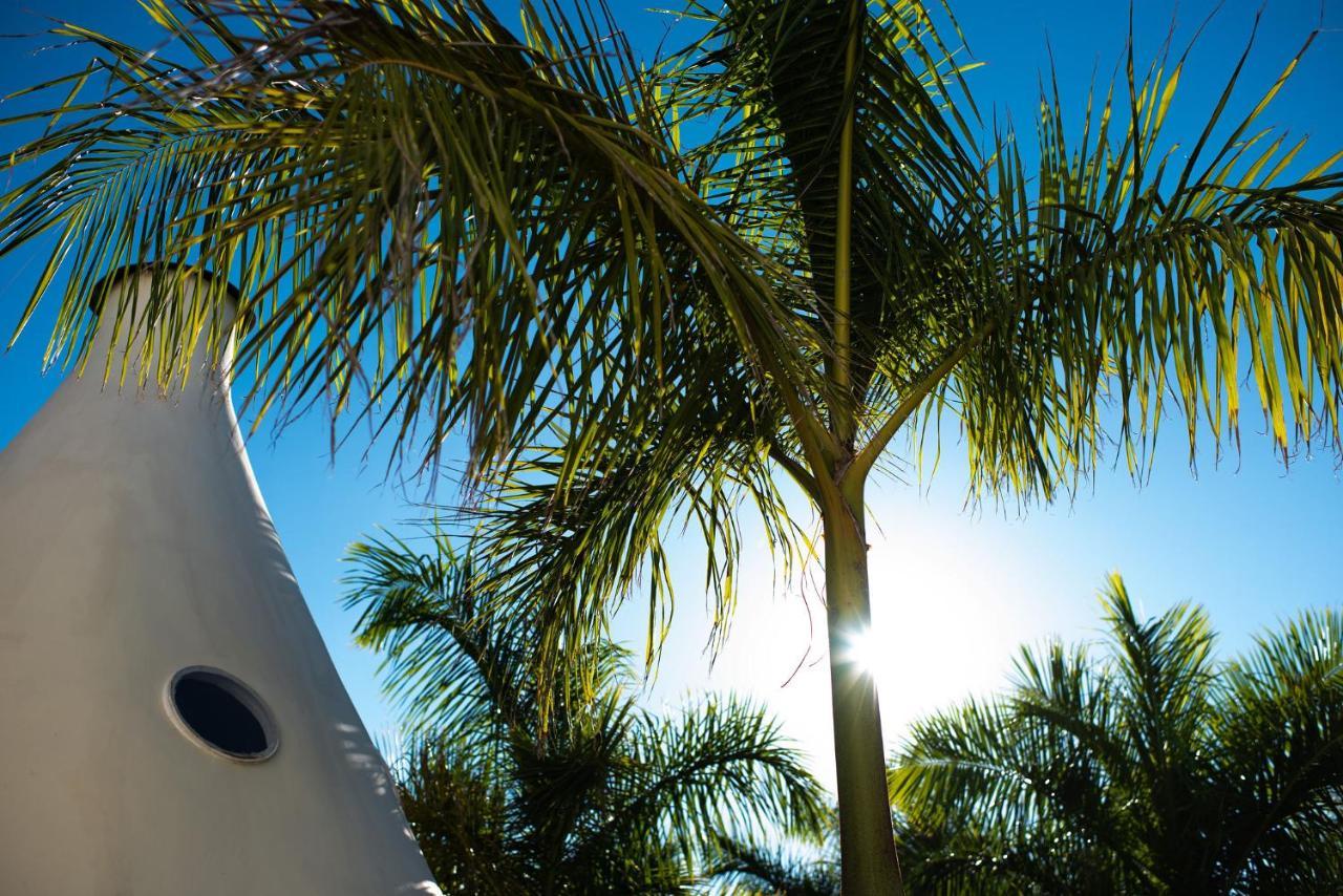 Tribu Todos Santos Hotel Ngoại thất bức ảnh
